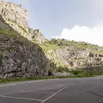 Down The Rabbit Hole