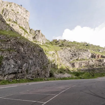 Down The Rabbit Hole