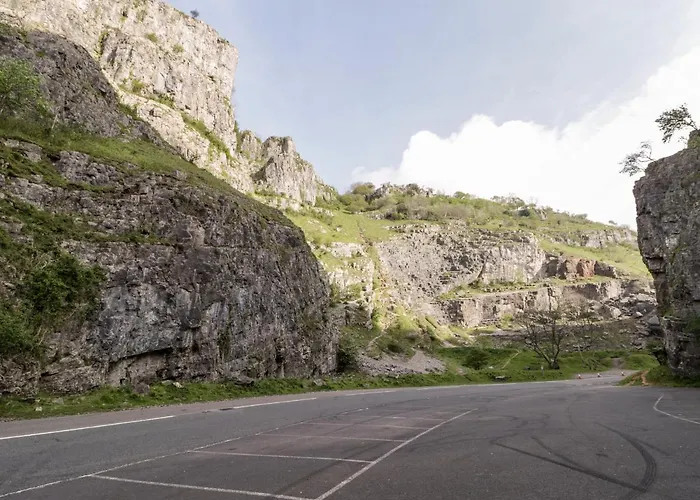 Down The Rabbit Hole