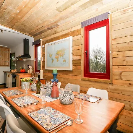 Down The Rabbit Hole *